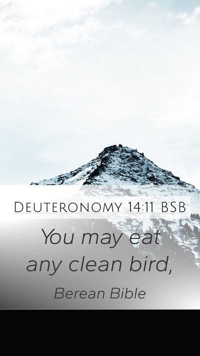 Deuteronomy 14:11 BSB Mobile Phone Wallpaper - You may eat any clean - Mobile Bible Verse Wallpaper