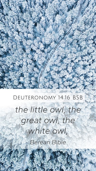 Deuteronomy 14:16 BSB Mobile Phone Wallpaper - the little owl, the great owl, the white - Mobile Bible Verse Wallpaper