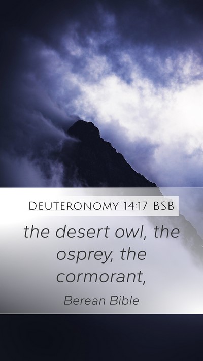 Deuteronomy 14:17 BSB Mobile Phone Wallpaper - the desert owl, the osprey, the - Mobile Bible Verse Wallpaper