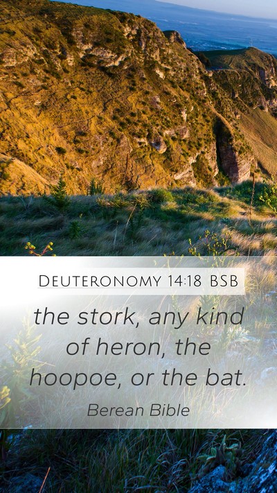 Deuteronomy 14:18 BSB Mobile Phone Wallpaper - the stork, any kind of heron, the hoopoe, or the - Mobile Bible Verse Wallpaper
