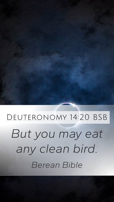 Deuteronomy 14:20 BSB Mobile Phone Wallpaper - But you may eat any clean - Mobile Bible Verse Wallpaper