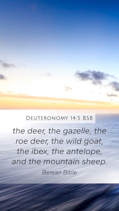 Deuteronomy 14:5 BSB Bible Verse Image