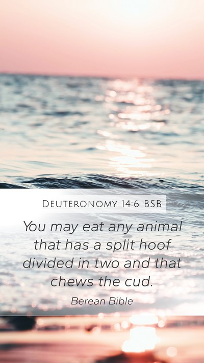 Deuteronomy 14:6 BSB Mobile Phone Wallpaper - You may eat any animal that has a split hoof - Mobile Bible Verse Wallpaper