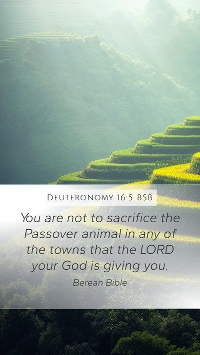 Deuteronomy 16:5 BSB Mobile Phone Wallpaper - You are not to sacrifice the Passover animal in - Mobile Bible Verse Wallpaper
