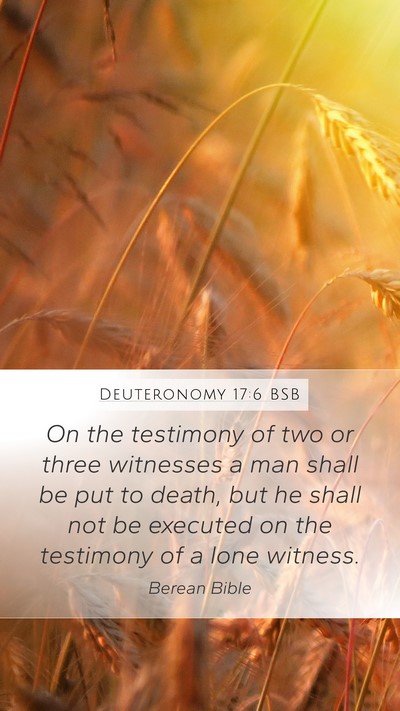 Deuteronomy 17:6 BSB Bible Verse Image