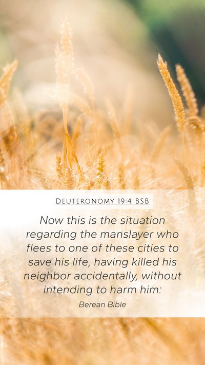 Deuteronomy 19:4 BSB Bible Verse Image