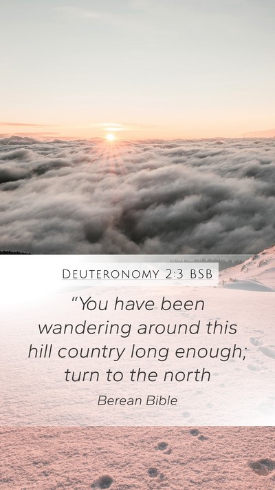 Deuteronomy 2:3 BSB Mobile Phone Wallpaper - “You have been wandering around this hill - Mobile Bible Verse Wallpaper