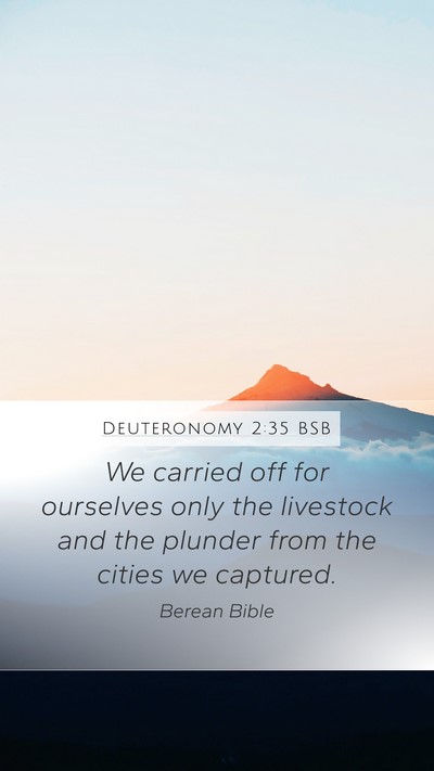 Deuteronomy 2:35 BSB Bible Verse Image