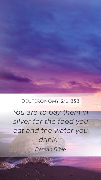 Deuteronomy 2:6 BSB Bible Verse Image