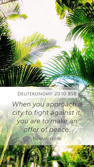 Deuteronomy 20:10 BSB Bible Verse Image