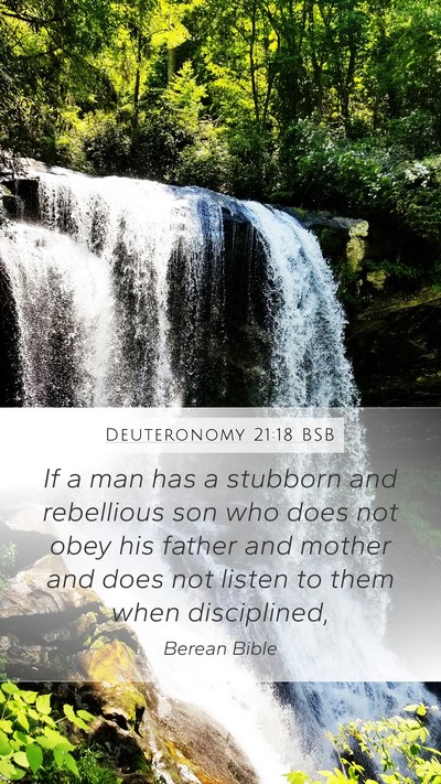 Deuteronomy 21:18 BSB Bible Verse Image