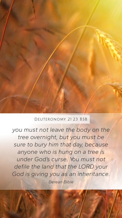 Deuteronomy 21:23 BSB Bible Verse Image