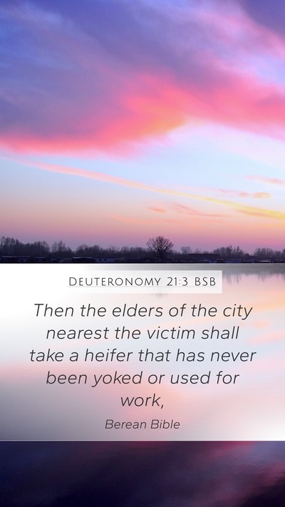 Deuteronomy 21:3 BSB Bible Verse Image