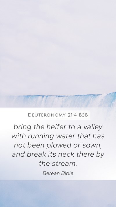 Deuteronomy 21:4 BSB Bible Verse Image