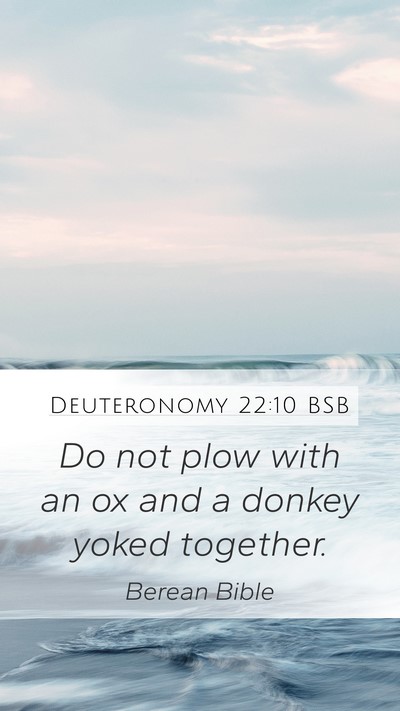 Deuteronomy 22:10 BSB Mobile Phone Wallpaper - Do not plow with an ox and a donkey yoked - Mobile Bible Verse Wallpaper