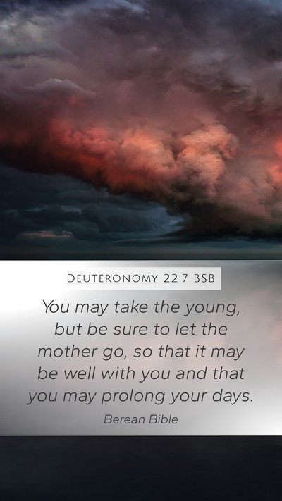Deuteronomy 22:7 BSB Mobile Phone Wallpaper - You may take the young, but be sure to let the - Mobile Bible Verse Wallpaper