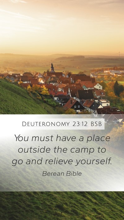 Deuteronomy 23:12 BSB Mobile Phone Wallpaper - You must have a place outside the camp to go and - Mobile Bible Verse Wallpaper