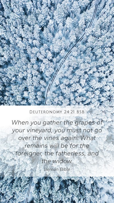 Deuteronomy 24:21 BSB Bible Verse Image