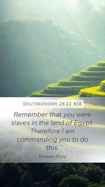 Deuteronomy 24:22 BSB Mobile Phone Wallpaper - Remember that you were slaves in the land of - Mobile Bible Verse Wallpaper