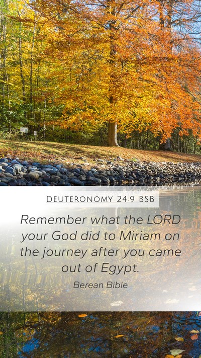Deuteronomy 24:9 BSB Mobile Phone Wallpaper - Remember what the LORD your God did to Miriam on - Mobile Bible Verse Wallpaper