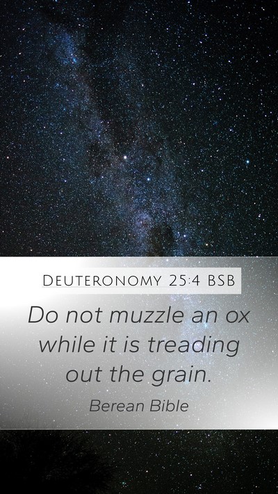 Deuteronomy 25:4 BSB Bible Verse Image
