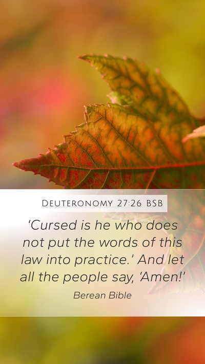 Deuteronomy 27:26 BSB Bible Verse Image