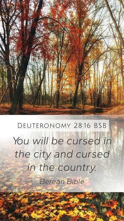 Deuteronomy 28:16 BSB Mobile Phone Wallpaper - You will be cursed in the city and cursed in the - Mobile Bible Verse Wallpaper