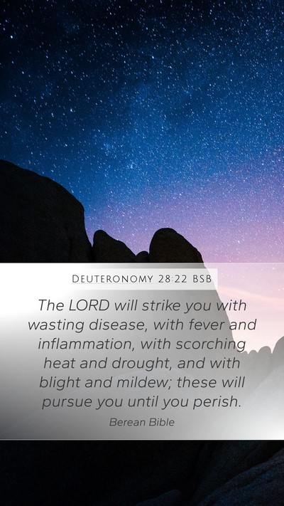 Deuteronomy 28:22 BSB Bible Verse Image