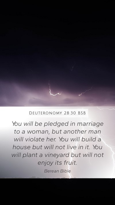 Deuteronomy 28:30 BSB Bible Verse Image