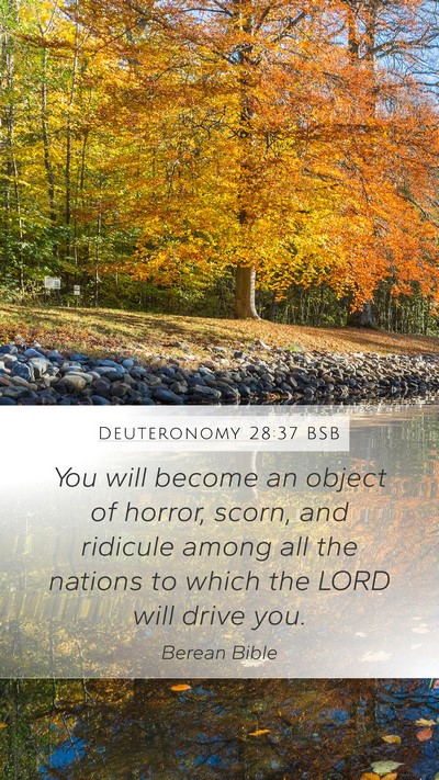 Deuteronomy 28:37 BSB Bible Verse Image