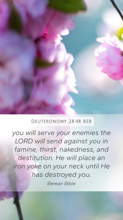 Deuteronomy 28:48 BSB Bible Verse Image