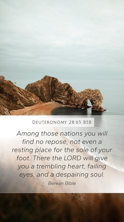 Deuteronomy 28:65 BSB Bible Verse Image