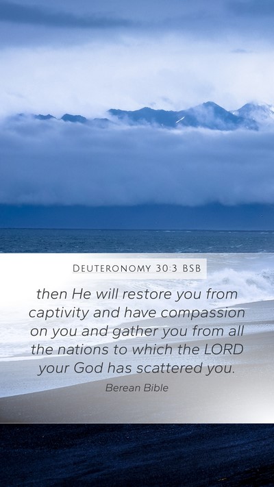 Deuteronomy 30:3 BSB Bible Verse Image