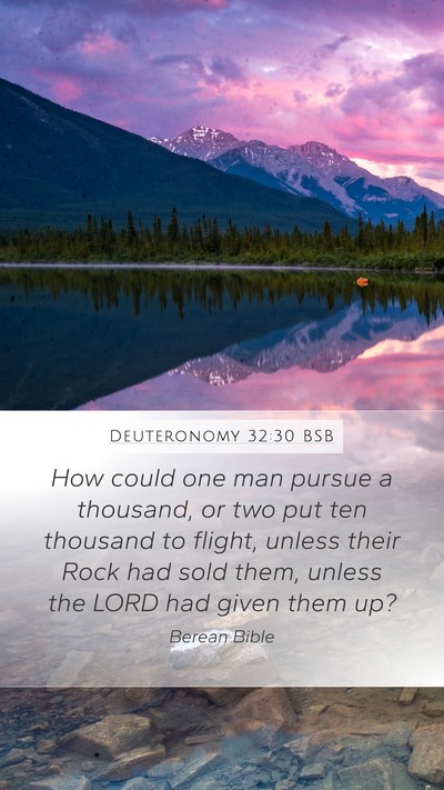 Deuteronomy 32:30 BSB Bible Verse Image