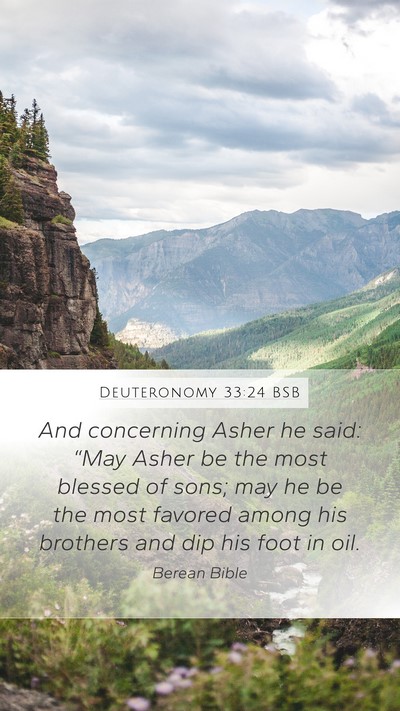 Deuteronomy 33:24 BSB Bible Verse Image