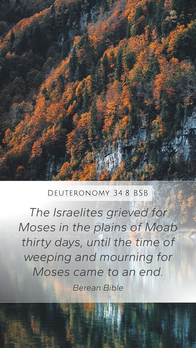 Deuteronomy 34:8 BSB Bible Verse Image