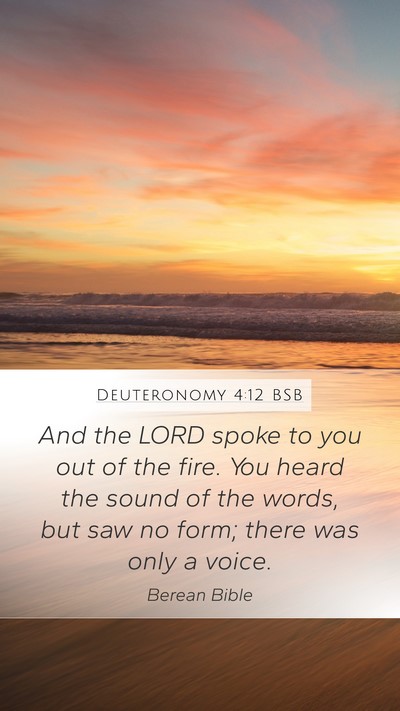 Deuteronomy 4:12 BSB Bible Verse Image