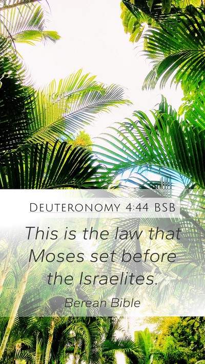 Deuteronomy 4:44 BSB Mobile Phone Wallpaper - This is the law that Moses set before the - Mobile Bible Verse Wallpaper