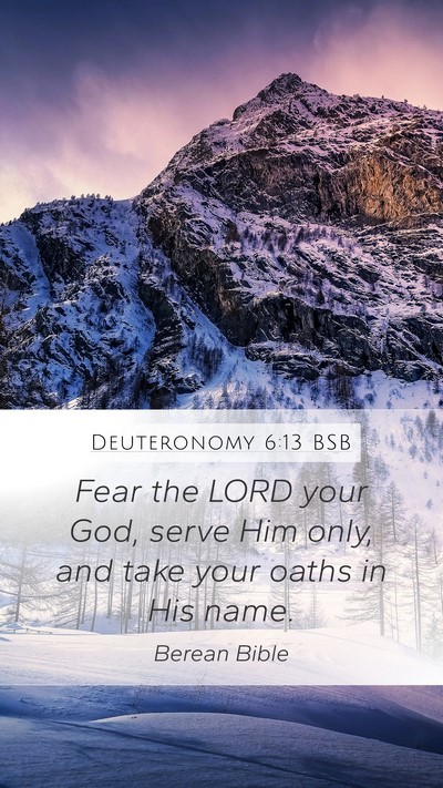 Deuteronomy 6:13 BSB Bible Verse Image