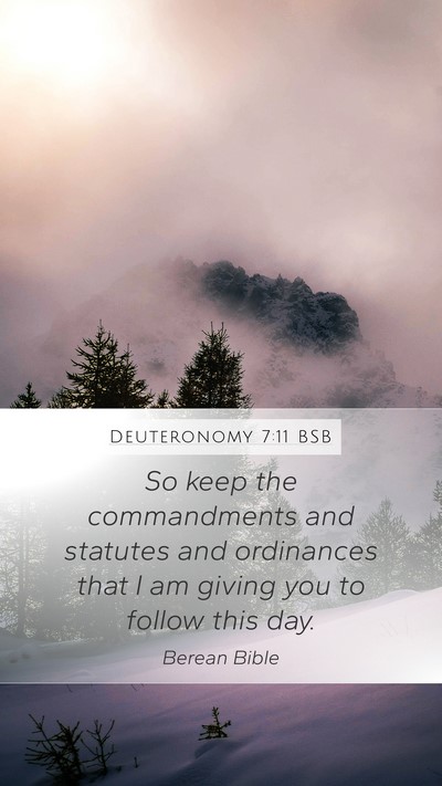 Deuteronomy 7:11 BSB Mobile Phone Wallpaper - So keep the commandments and statutes and - Mobile Bible Verse Wallpaper