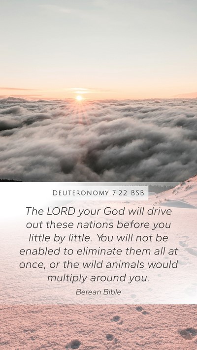 Deuteronomy 7:22 BSB Mobile Phone Wallpaper - The LORD your God will drive out these nations - Mobile Bible Verse Wallpaper