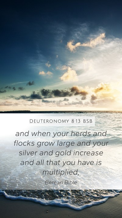 Deuteronomy 8:13 BSB Bible Verse Image