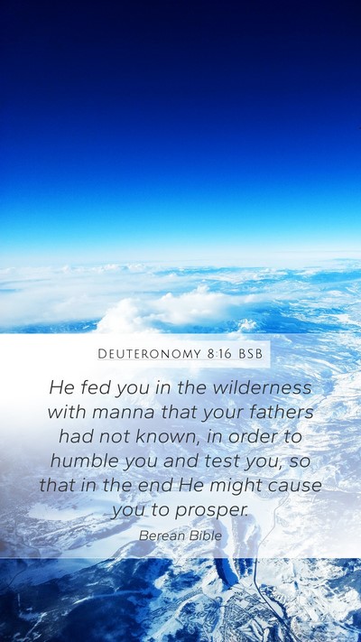 Deuteronomy 8:16 BSB Bible Verse Image