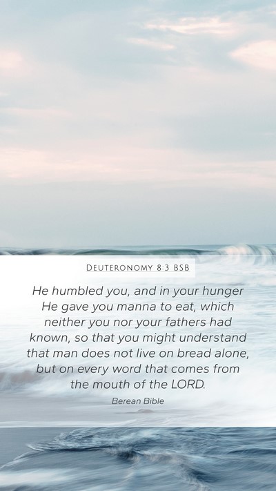 Deuteronomy 8:3 BSB Bible Verse Image