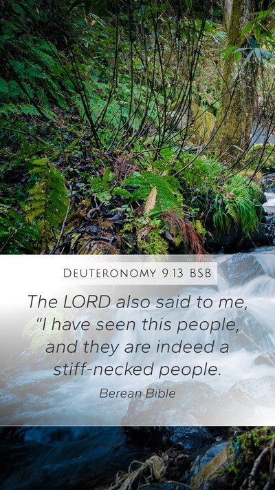 Deuteronomy 9:13 BSB Mobile Phone Wallpaper - The LORD also said to me, “I have seen this - Mobile Bible Verse Wallpaper