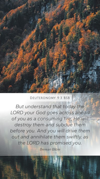 Deuteronomy 9:3 BSB Bible Verse Image