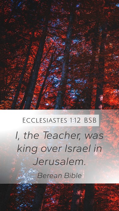 Ecclesiastes 1:12 BSB Bible Verse Image