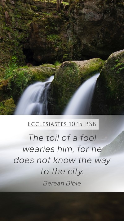 Ecclesiastes 10:15 BSB Bible Verse Image