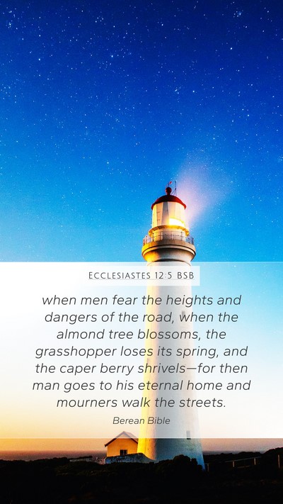 Ecclesiastes 12:5 BSB Bible Verse Image