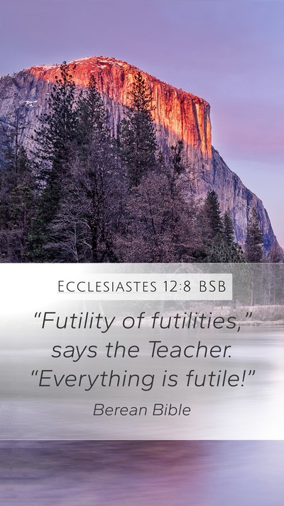 Ecclesiastes 12:8 BSB Bible Verse Image